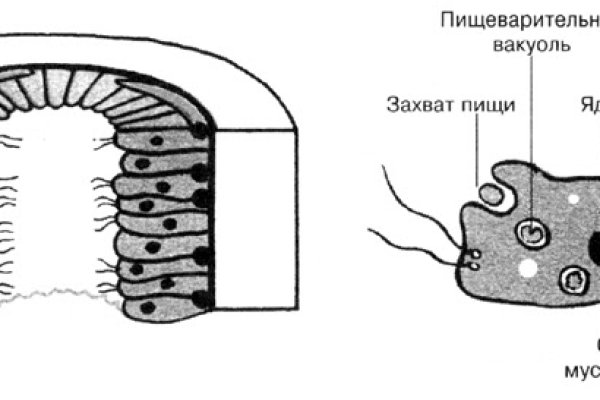 Как вывести с кракена